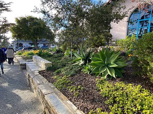 2024年美西之旅 咖哩我們來找你囉Day 12.「Caf 2024年美西之旅 咖哩我們來找你囉Day 12.「Caf