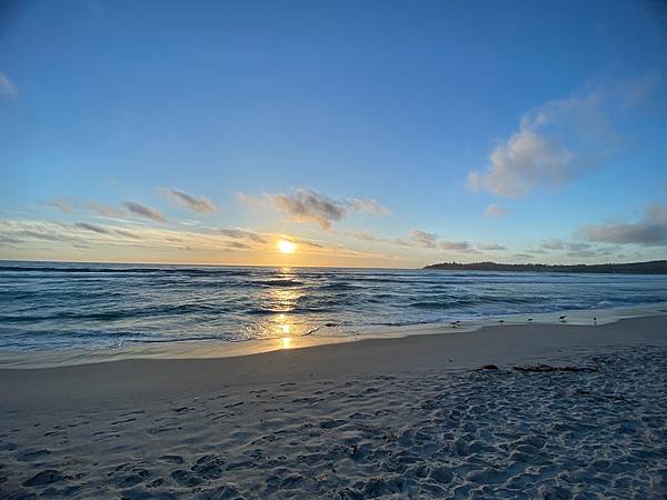 2024年美西之旅 咖哩我們來找你囉Day 12.「Caf 2024年美西之旅 咖哩我們來找你囉Day 12.「Caf