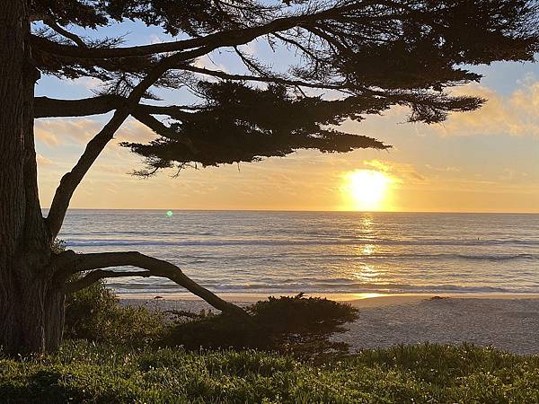 2024年美西之旅 咖哩我們來找你囉Day 12.「Caf 2024年美西之旅 咖哩我們來找你囉Day 12.「Caf