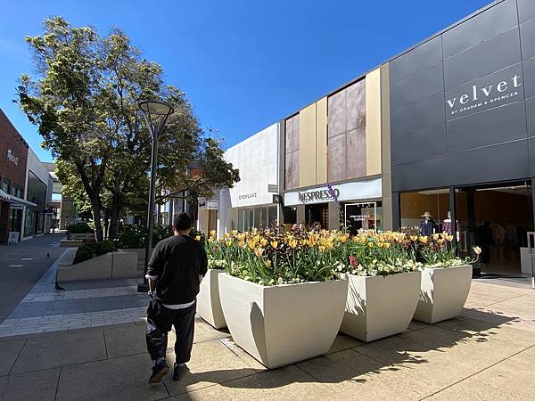 2024年美西之旅 咖哩我們來找你囉Day 13.「Sta 2024年美西之旅 咖哩我們來找你囉Day 13.「Sta