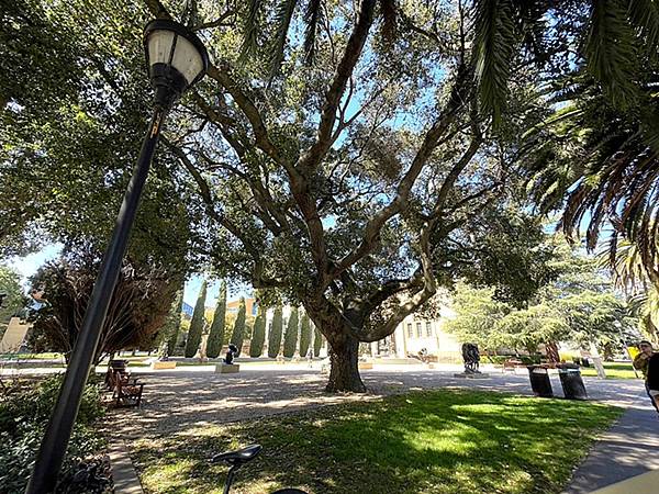 2024年美西之旅 咖哩我們來找你囉Day 13.「Sta 2024年美西之旅 咖哩我們來找你囉Day 13.「Sta