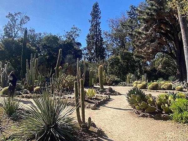 2024年美西之旅 咖哩我們來找你囉Day 13.「Sta 2024年美西之旅 咖哩我們來找你囉Day 13.「Sta