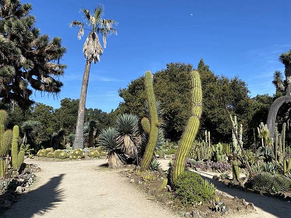 2024年美西之旅 咖哩我們來找你囉Day 13.「Sta 2024年美西之旅 咖哩我們來找你囉Day 13.「Sta