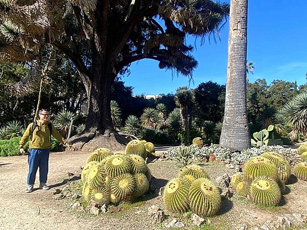 2024年美西之旅 咖哩我們來找你囉Day 13.「Sta 2024年美西之旅 咖哩我們來找你囉Day 13.「Sta