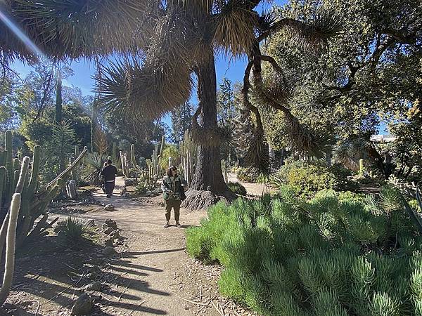 2024年美西之旅 咖哩我們來找你囉Day 13.「Sta 2024年美西之旅 咖哩我們來找你囉Day 13.「Sta