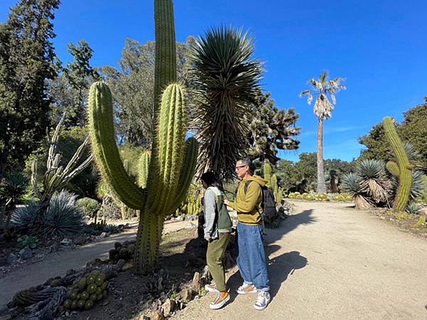 2024年美西之旅 咖哩我們來找你囉Day 13.「Sta 2024年美西之旅 咖哩我們來找你囉Day 13.「Sta