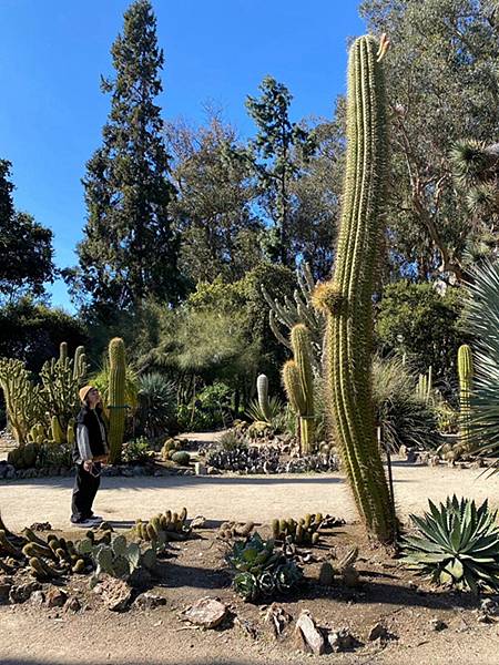 2024年美西之旅 咖哩我們來找你囉Day 13.「Sta 2024年美西之旅 咖哩我們來找你囉Day 13.「Sta