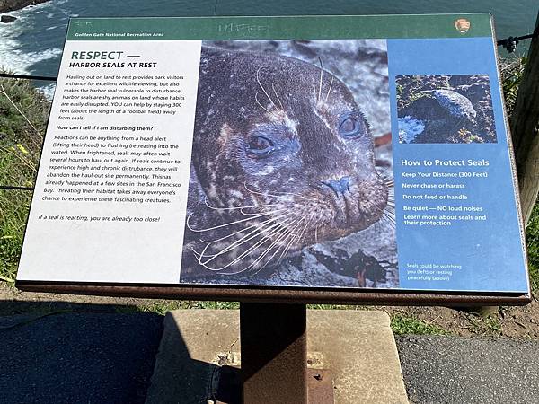 2024年美西之旅 咖哩我們來找你囉Day 14.「Gol 2024年美西之旅 咖哩我們來找你囉Day 14.「Gol