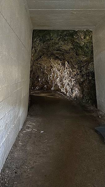 2024年美西之旅 咖哩我們來找你囉Day 14.「Gol 2024年美西之旅 咖哩我們來找你囉Day 14.「Gol