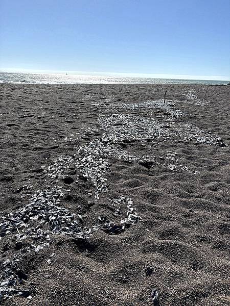 2024年美西之旅 咖哩我們來找你囉Day 14.「Gol 2024年美西之旅 咖哩我們來找你囉Day 14.「Gol