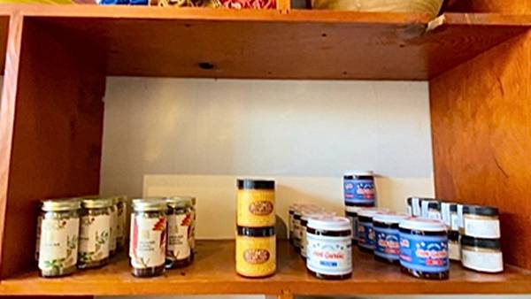 2024年美西之旅 咖哩我們來找你囉Day 14.「Gol 2024年美西之旅 咖哩我們來找你囉Day 14.「Gol