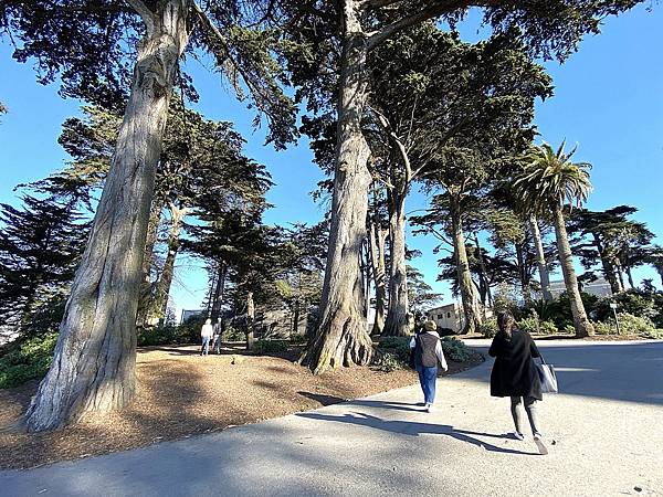 2024年美西之旅 咖哩我們來找你囉Day 14.「Gol 2024年美西之旅 咖哩我們來找你囉Day 14.「Gol