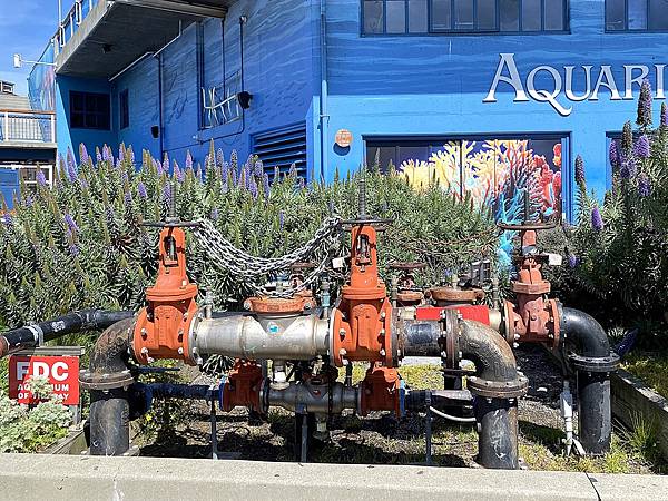 2024年美西之旅 咖哩我們來找你囉Day 15.「Fis