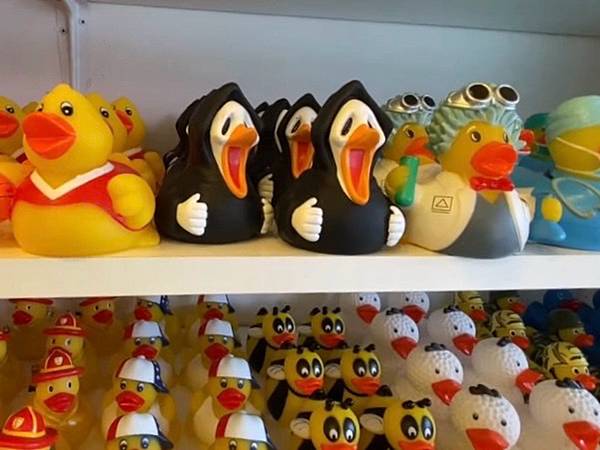 2024年美西之旅 咖哩我們來找你囉Day 15.「Fis