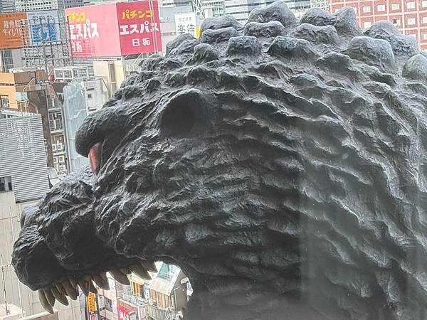 2024 秋 去找富士山玩Day2. 「搭乘踊子號伊豆半 2024 秋 去找富士山玩Day2. 「搭乘踊子號伊豆半