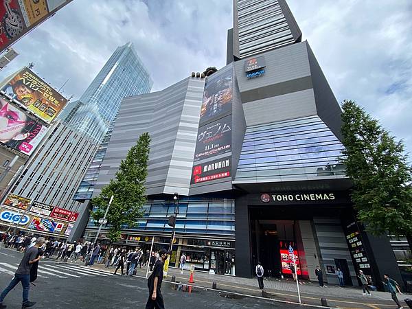 2024 秋 去找富士山玩Day2. 「搭乘踊子號伊豆半 2024 秋 去找富士山玩Day2. 「搭乘踊子號伊豆半