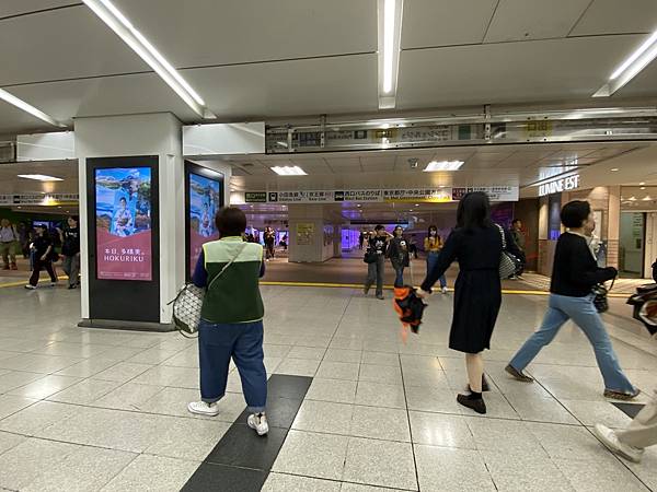 2024 秋 去找富士山玩Day2. 「搭乘踊子號伊豆半 2024 秋 去找富士山玩Day2. 「搭乘踊子號伊豆半