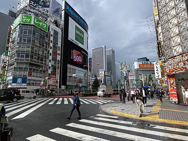 2024 秋 去找富士山玩Day2. 「搭乘踊子號伊豆半 2024 秋 去找富士山玩Day2. 「搭乘踊子號伊豆半