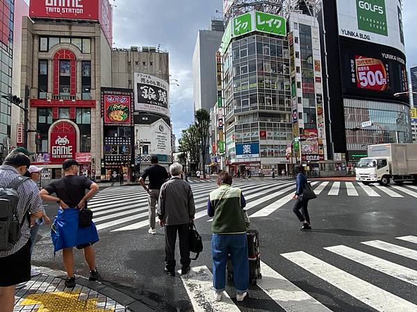 2024 秋 去找富士山玩Day2. 「搭乘踊子號伊豆半 2024 秋 去找富士山玩Day2. 「搭乘踊子號伊豆半