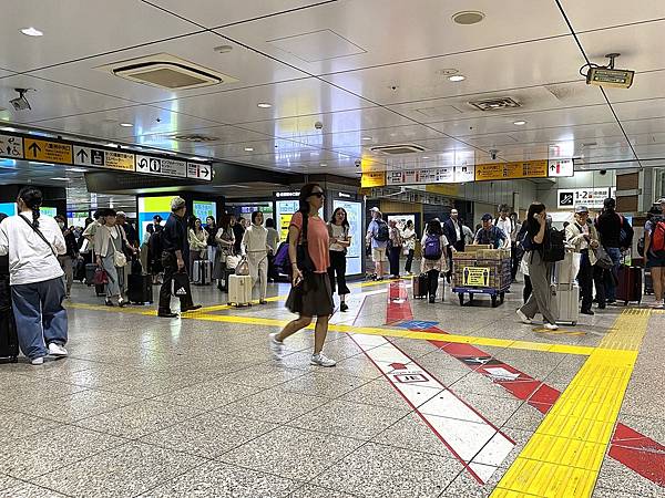 2024 秋 去找富士山玩Day2. 「搭乘踊子號伊豆半 2024 秋 去找富士山玩Day2. 「搭乘踊子號伊豆半