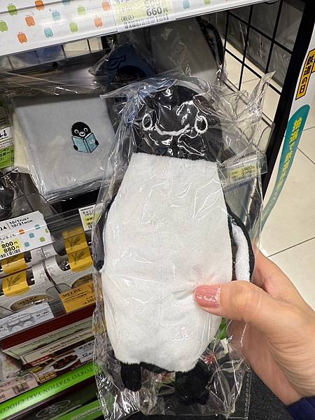 2024 秋 去找富士山玩Day2. 「搭乘踊子號伊豆半 2024 秋 去找富士山玩Day2. 「搭乘踊子號伊豆半