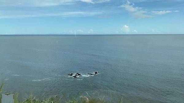 2024 秋 去找富士山玩Day2. 「搭乘踊子號伊豆半 2024 秋 去找富士山玩Day2. 「搭乘踊子號伊豆半