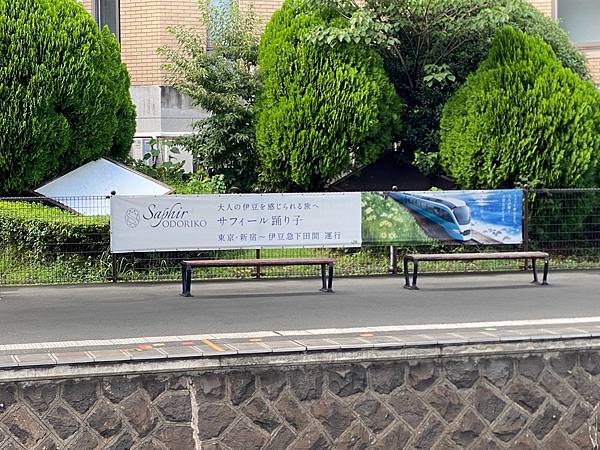 2024 秋 去找富士山玩Day2. 「搭乘踊子號伊豆半 2024 秋 去找富士山玩Day2. 「搭乘踊子號伊豆半