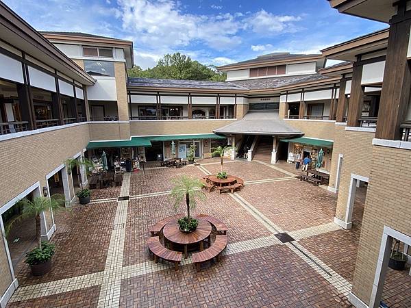 2024 秋 去找富士山玩Day2. 「搭乘踊子號伊豆半 2024 秋 去找富士山玩Day2. 「搭乘踊子號伊豆半