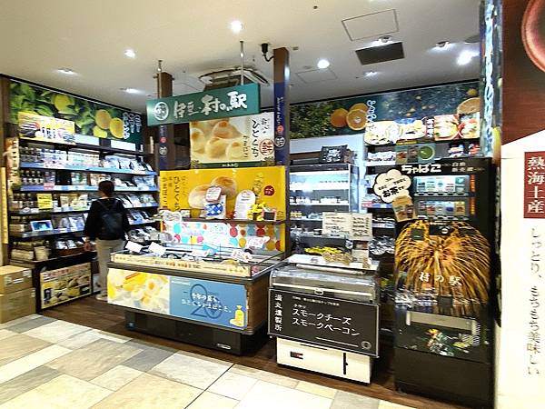 2024 秋 去找富士山玩Day2. 「搭乘踊子號伊豆半 2024 秋 去找富士山玩Day2. 「搭乘踊子號伊豆半