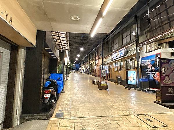 2024 秋 去找富士山玩Day2. 「搭乘踊子號伊豆半 2024 秋 去找富士山玩Day2. 「搭乘踊子號伊豆半