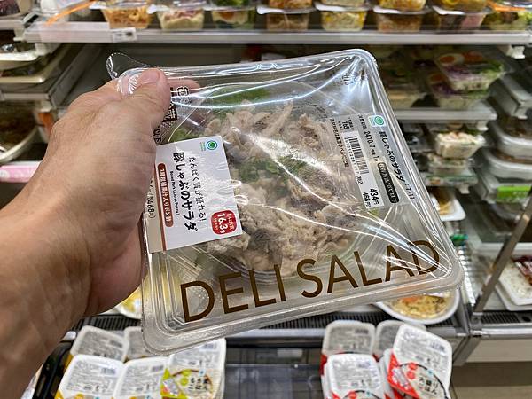 2024 秋 去找富士山玩Day2. 「搭乘踊子號伊豆半 2024 秋 去找富士山玩Day2. 「搭乘踊子號伊豆半