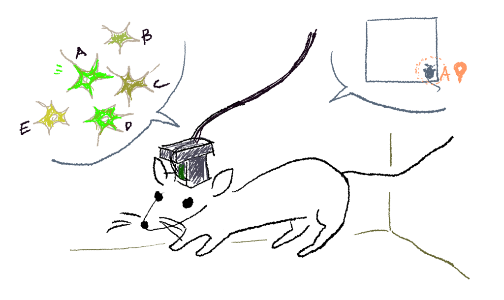 miniature microscope.png