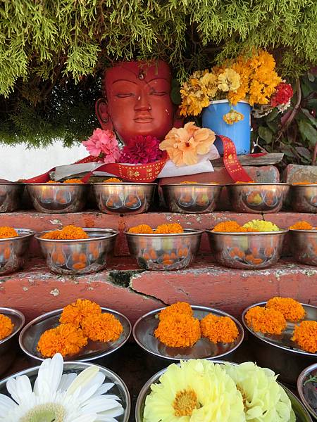 前進佛陀的故鄉-那亂中有序的尼泊爾