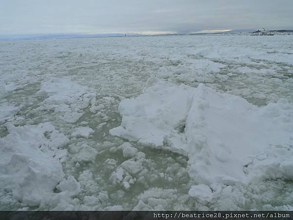 搭乘【破冰船】出海觀賞來自鄂霍次克海的流冰