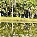 LINE_ALBUM_花蓮民宿_230329_104.jpg