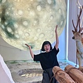 LINE_ALBUM_2023.04.16 阿本家 鹿點咖啡_230416_64.jpg
