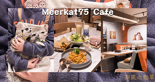 台北寵物餐廳｜Meerkat75 Café｜超可愛狐獴主題餐