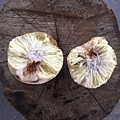 fry breadfruit 2.jpg