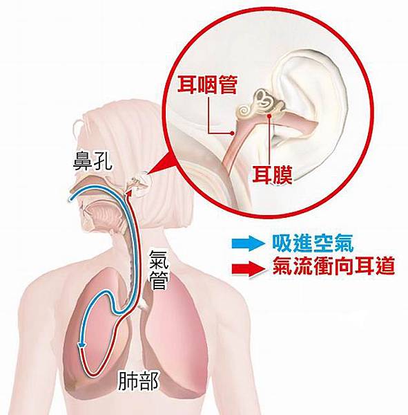 耳鳴.鼻過敏治療