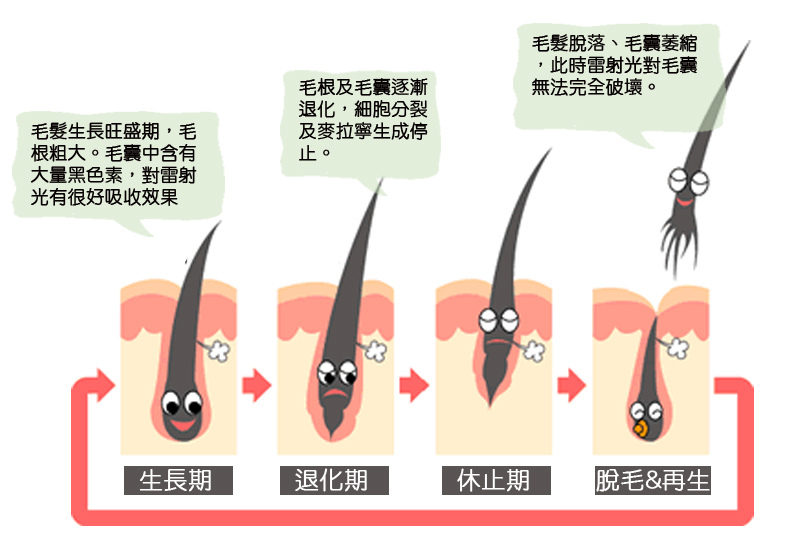 ãéºå§¿æ·»èº« é¤æ¯ãçåçæå°çµæ