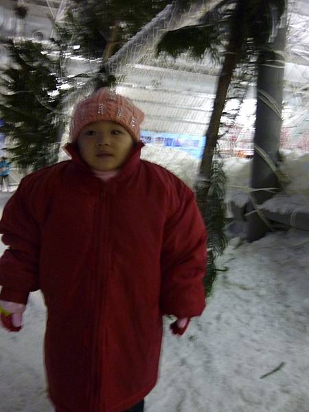 P1150265.JPG