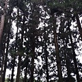 20150419_125719.jpg