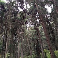 20150419_131232.jpg