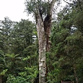 20150419_142719.jpg