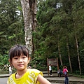 20150419_143707.jpg