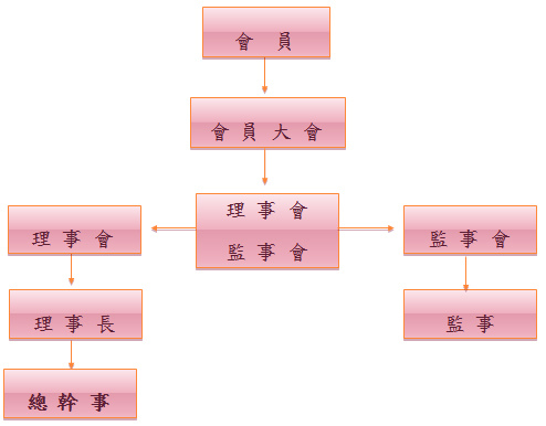 組織圖 組織圖