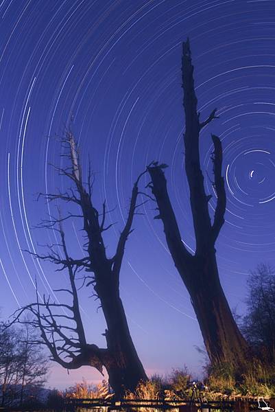 4hr+1Startrails