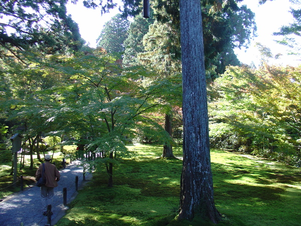 大原~三千院