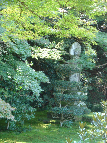 大原~三千院