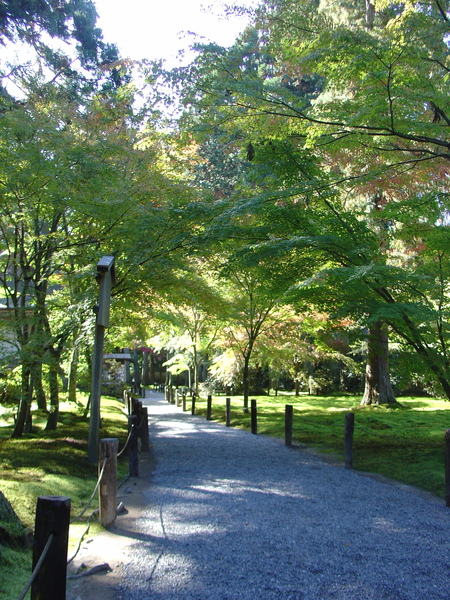 大原~三千院